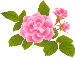 roze
